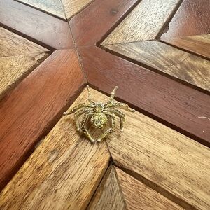 Gold spider pin.